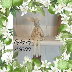 Lucky Dip Box