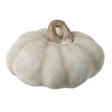 Load image into Gallery viewer, White Mesh Pumpkin
