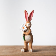 Load image into Gallery viewer, Jasper Rabbit.
