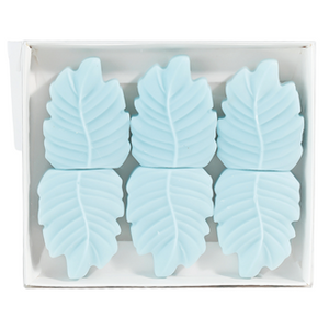 ☀️ Juniper Rain Box of 6 Leaf Shaped Wax Melts