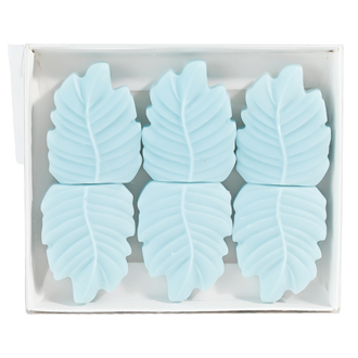 ☀️ Juniper Rain Box of 6 Leaf Shaped Wax Melts