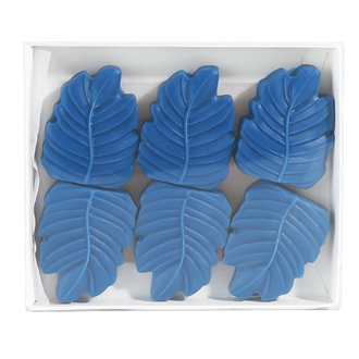 ☀️ Ocean Mist Box of 6 Leaf Shaped Wax Melts